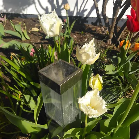 Apartment Schlafende Hexe *